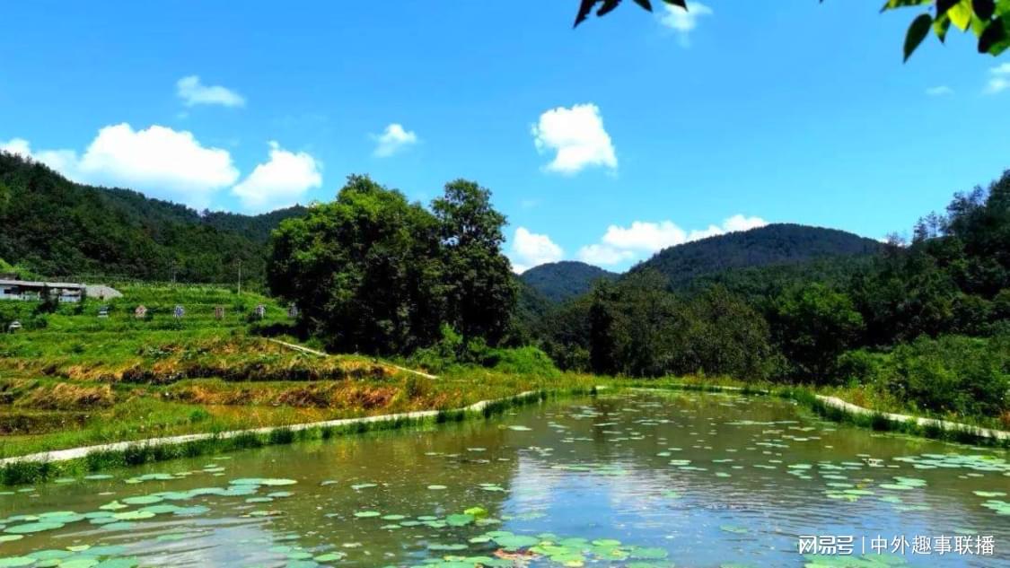 24自助下单平台网站：在线订购管理服务速递系统_黑科技引流软件下载手机版