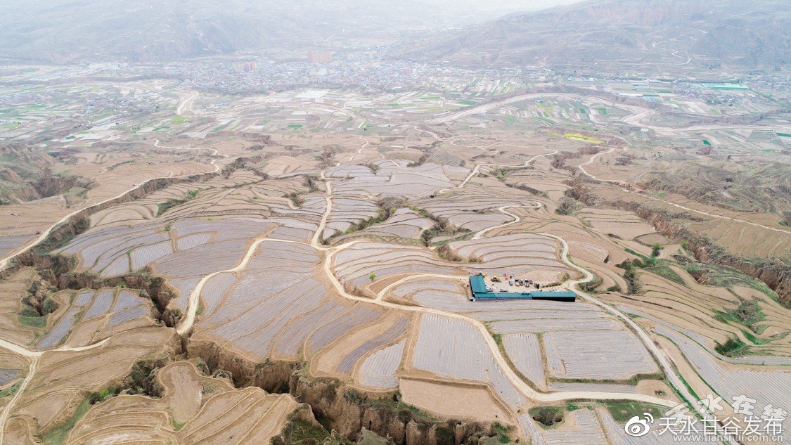 宋威龙赵今麦杀死了现偶比赛