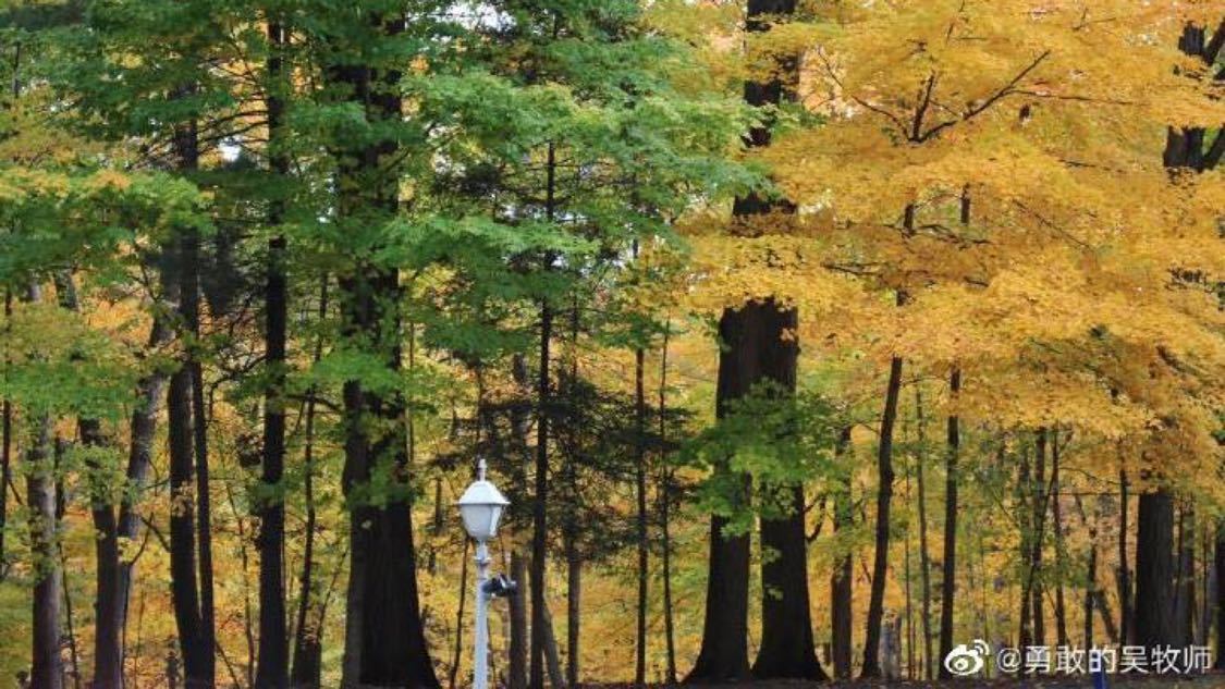 抖音低价二十四小时下单