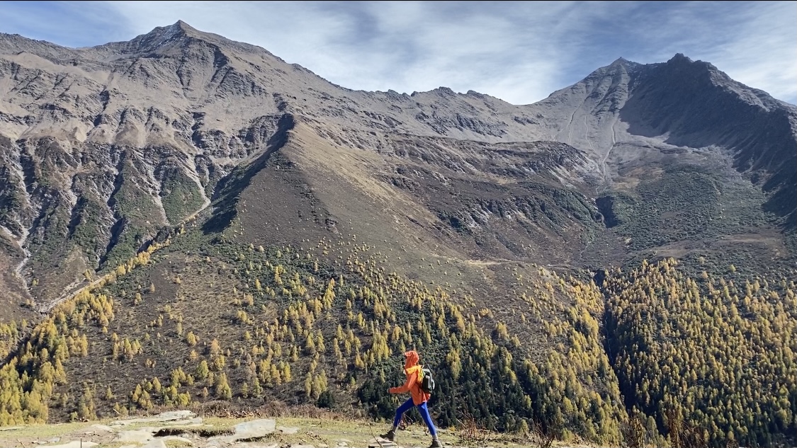 ks视频自助下单平台最便宜